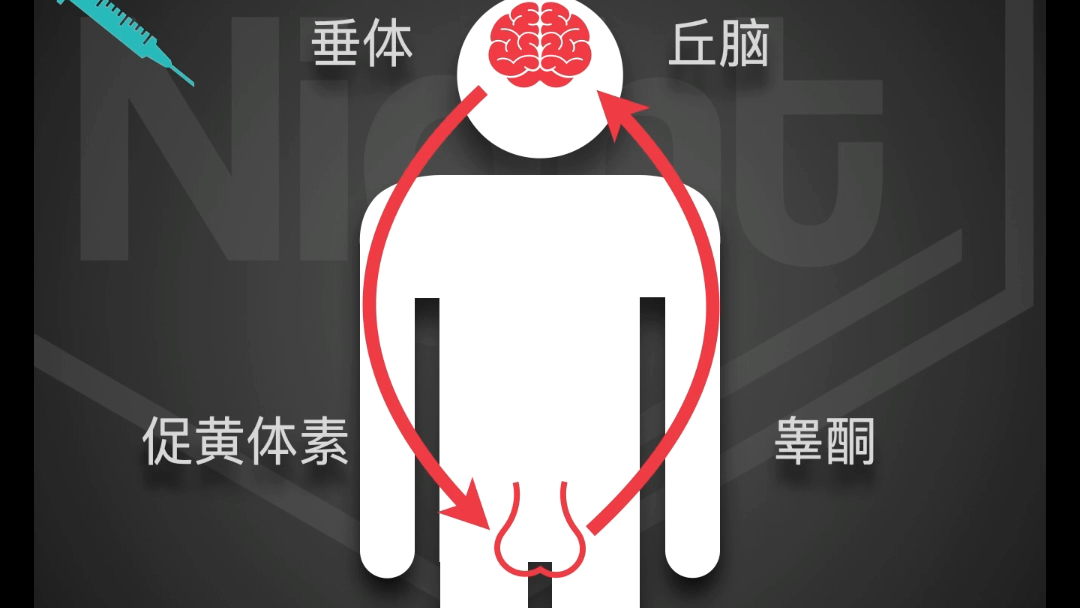 用类固醇以后睾酮低是怎么回事