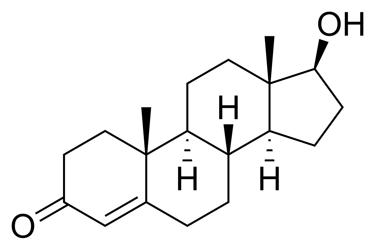 睾酮是什么 - 第1张 | 合成代谢类固醇购买