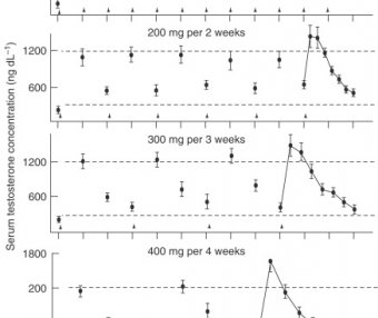 合成代谢类固醇苯丙酸诺龙NPP对大鼠颅面生长的影响