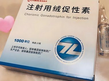 不看掉10斤肌肉类固醇增肌减脂cycle计划PCT恢复大全必看