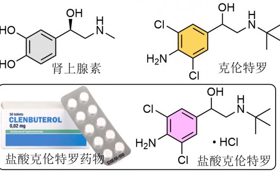 克伦特罗(Clenbuterol)全部问题你问我答系列整理