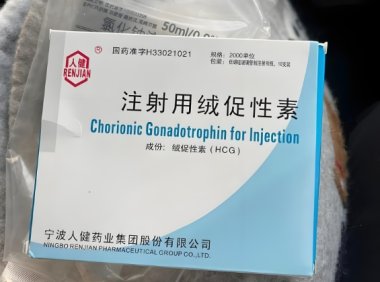 绒促hcg在合成代谢类固醇周期中使用还是周期后使用?