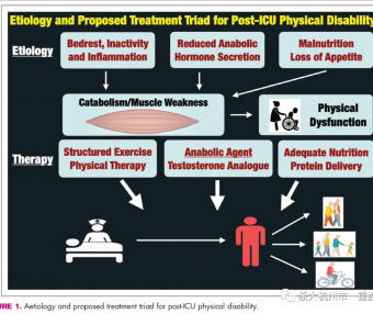 促进合成代谢的睾酮制剂和结构化运动在促进ICU幸存者康复中的作用