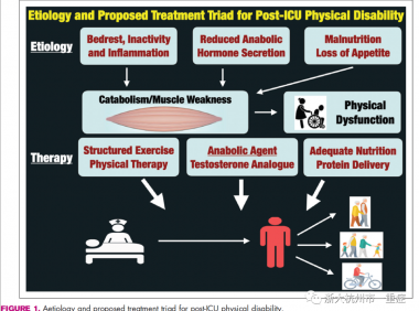 促进合成代谢的睾酮制剂和结构化运动在促进ICU幸存者康复中的作用