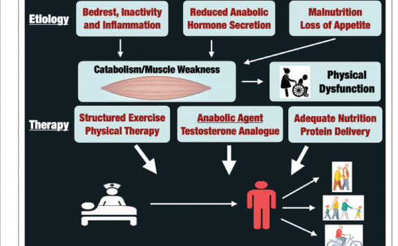 促进合成代谢的睾酮制剂和结构化运动在促进ICU幸存者康复中的作用